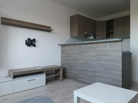 Pronájem bytu 2+kk, Liberec, Olbrachtova, 50 m2