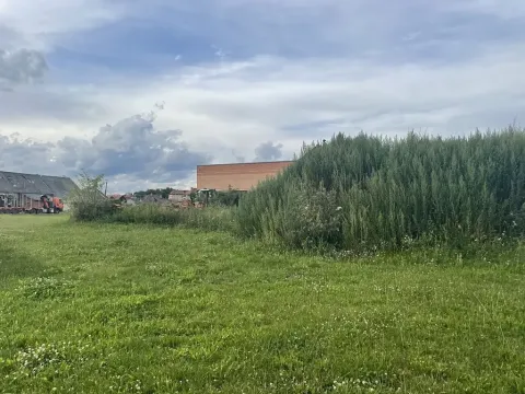 Prodej pole, Krásněves, 12 m2