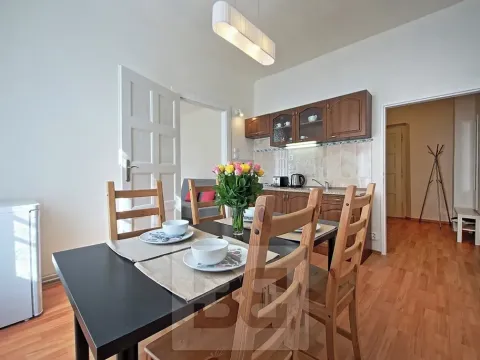 Pronájem bytu 2+kk, Praha - Nové Město, V jirchářích, 47 m2