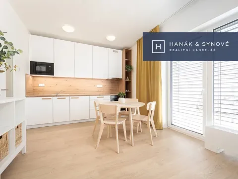 Pronájem bytu 1+kk, Pohořelice, U Kasáren, 30 m2