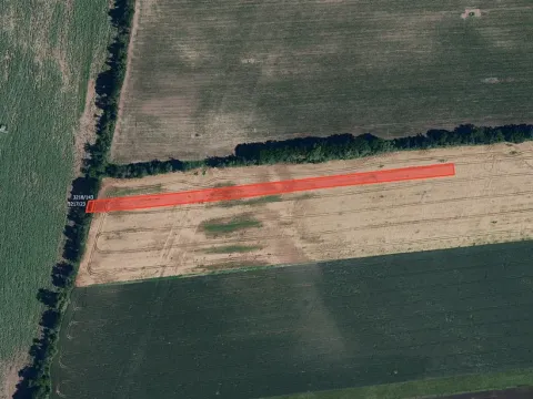 Prodej pole, Prušánky, 6063 m2