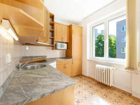 Pronájem bytu 2+1, Plzeň - Východní Předměstí, Neumannova, 54 m2