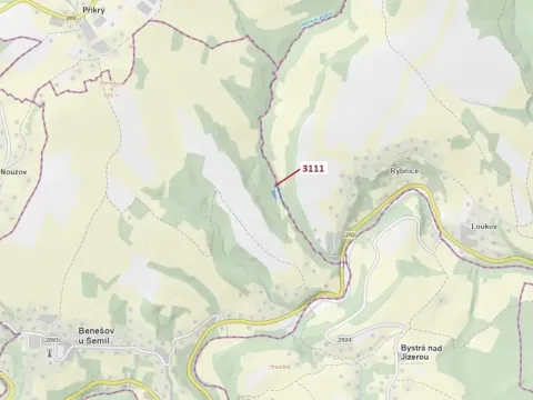 Dražba lesa, Benešov u Semil, 2958 m2