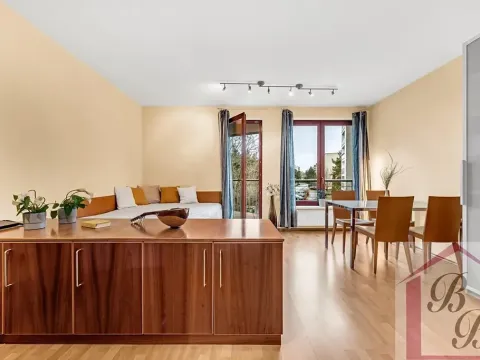 Pronájem bytu 1+kk, Praha - Podolí, Jeremenkova, 44 m2