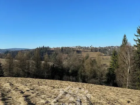 Prodej louky, Bozkov, 14441 m2