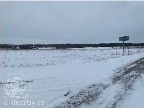 Dražba pole, Toušice, 7911 m2