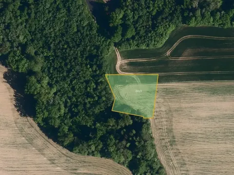 Prodej pole, Černotín, 2262 m2