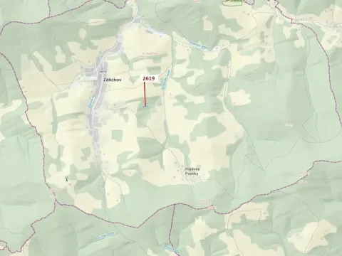 Dražba lesa, Zděchov, 867 m2