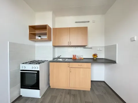 Pronájem bytu 1+1, Litvínov, Bezručova, 45 m2