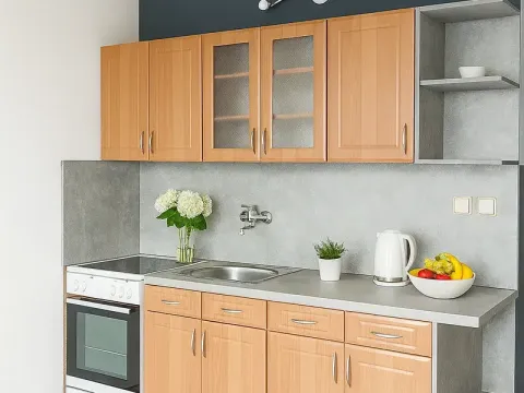 Prodej bytu 1+1, Chomutov, Kamenná, 35 m2