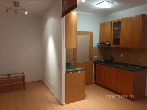 Pronájem bytu 1+kk, Praha - Libeň, Kurta Konráda, 29 m2