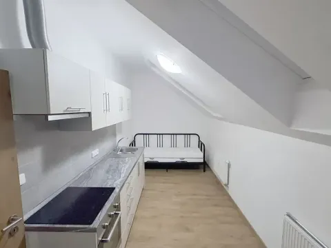 Pronájem bytu 1+kk, Jihlava, Hálkova, 26 m2