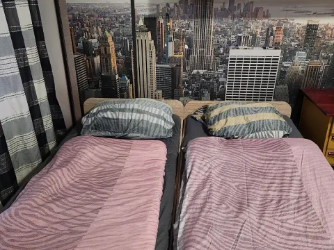 Pronájem bytu 3+1, Hranice - Hranice I-Město, Nádražní, 23 m2