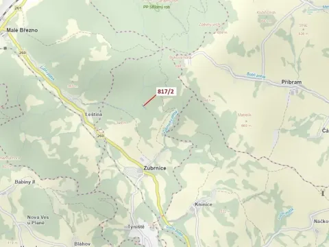 Dražba lesa, Zubrnice, 815 m2