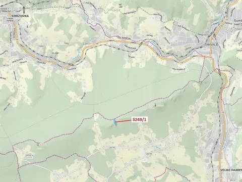 Dražba lesa, Velké Hamry, 5995 m2