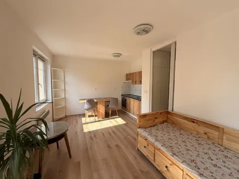 Pronájem bytu 1+kk, Mladá Boleslav - Mladá Boleslav II, Čechova, 26 m2