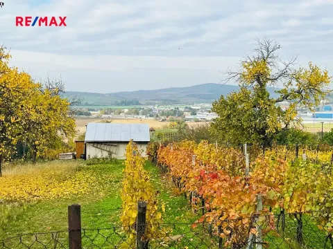 Prodej chaty, Kyjov, 20 m2