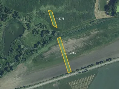 Prodej pole, Starovičky, 5778 m2