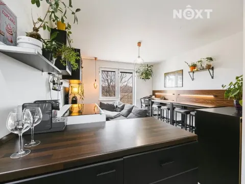 Prodej bytu 3+kk, Slavkov u Brna, Zelnice I, 64 m2