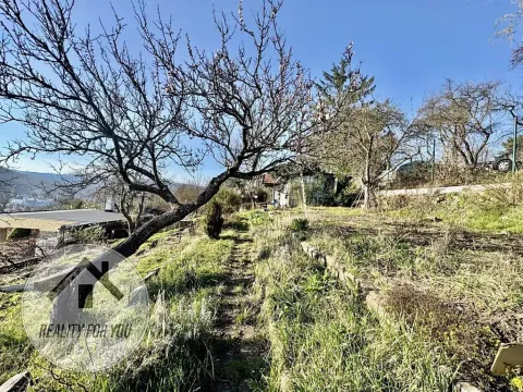 Prodej zahrady, Ústí nad Labem, V Kutišti, 359 m2
