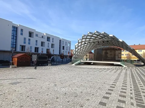 Pronájem obchodního prostoru, Veselí nad Moravou, 115 m2