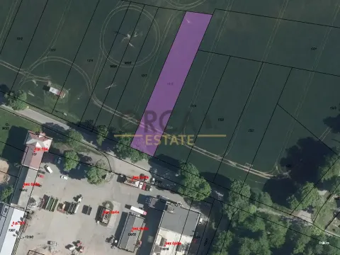 Prodej pole, Herálec, 1977 m2