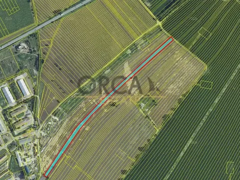 Prodej pole, Hrušky, 9415 m2