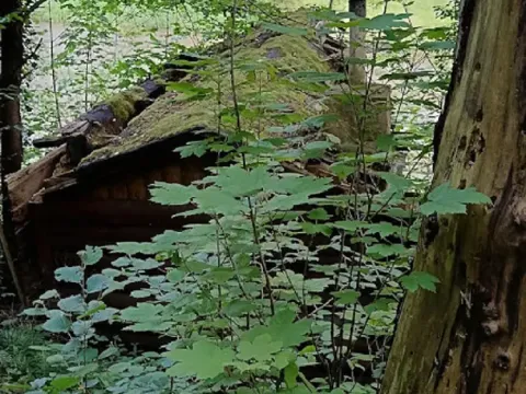 Prodej chaty, Kamenný Přívoz - Hostěradice, 12 m2