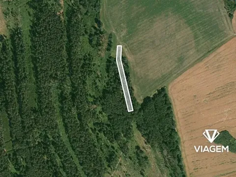 Prodej lesa, Blížejov, 1490 m2