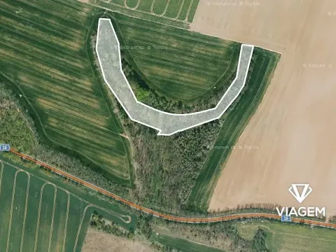 Prodej podílu lesa, Mělnické Vtelno, 8584 m2