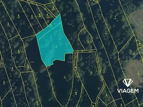 Prodej podílu lesa, Nový Hrozenkov, 879 m2