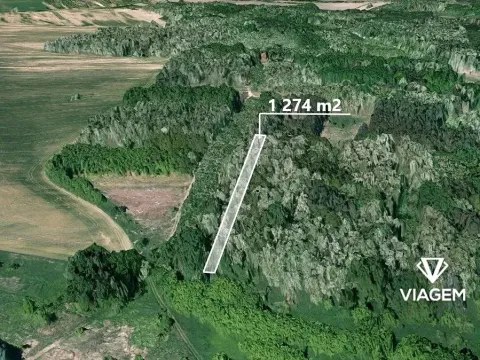 Prodej lesa, Hovorany, 1274 m2