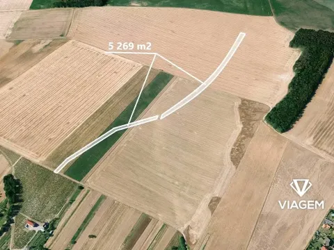 Prodej podílu pole, Kuchařovice, 1317 m2