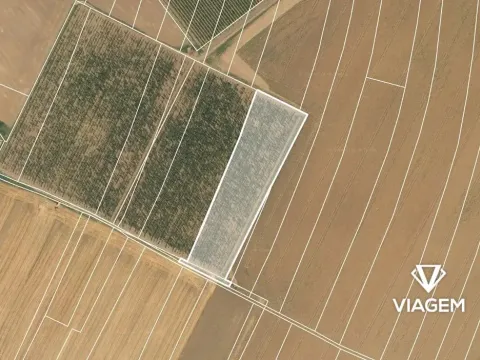 Prodej podílu pole, Chotiněves, 3600 m2