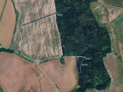 Prodej pole, Džbánice, 6560 m2