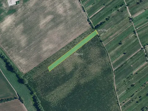 Prodej sadu/vinice, Prušánky, 4613 m2