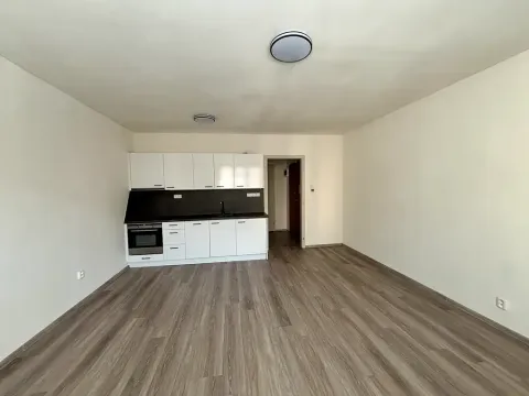 Prodej bytu 1+kk, Praha - Strašnice, V předpolí, 30 m2