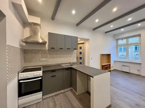 Pronájem bytu 2+1, Karlovy Vary, K. Čapka, 37 m2