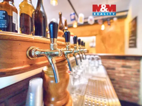 Pronájem restaurace, Plzeň - Jižní Předměstí, Americká, 102 m2