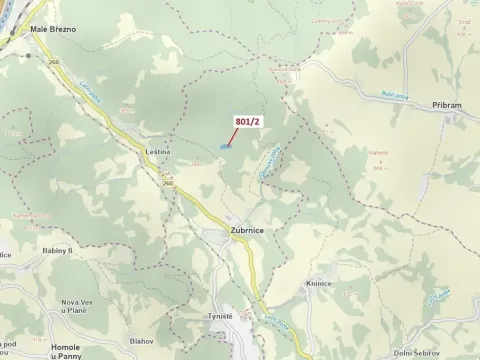 Dražba lesa, Zubrnice, 8765 m2