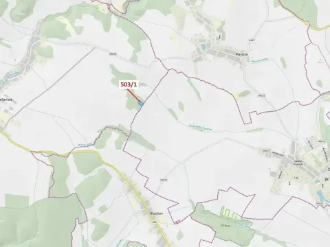 Dražba lesa, Přemyslovice, 7049 m2