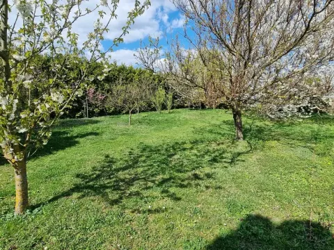 Prodej zahrady, Břeclav, Na Širokých, 1373 m2