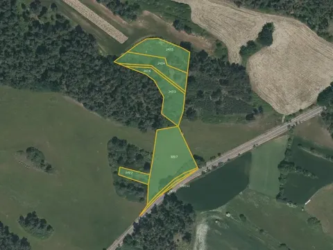 Prodej lesa, Horažďovice, 10763 m2