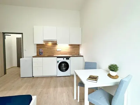 Pronájem bytu 1+kk, Brno, Koliště, 23 m2