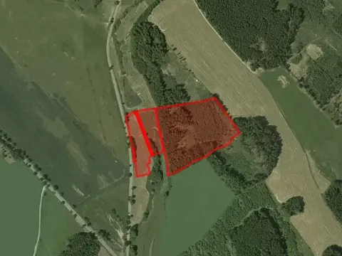 Prodej louky, Bystřice nad Pernštejnem, 40441 m2