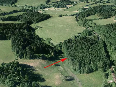 Prodej lesa, Horní Dvořiště, 1471 m2