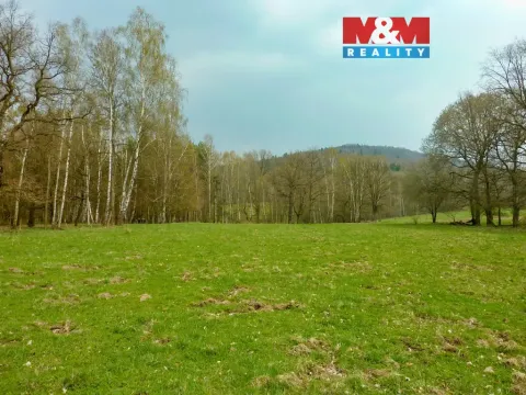 Prodej louky, Stružnice, 55278 m2