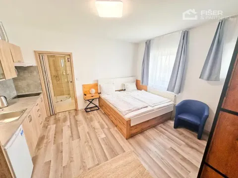 Pronájem bytu 1+kk, Světice, 28 m2