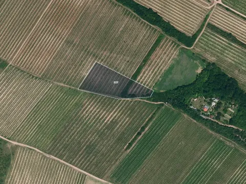 Prodej pole, Nový Šaldorf-Sedlešovice, 7256 m2