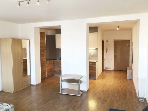 Pronájem bytu 1+kk, Praha - Žižkov, Prokopova, 46 m2